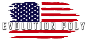 NetPro Agency llc Evolution Poly logo – NetPro Agency client